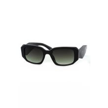 Toms Teddy TT6024C101P Kadın Güneş Gözlüğü
