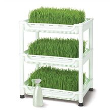 Tribest Sproutman’s Topraksız Buğday Çimi Yetiştiricisi
