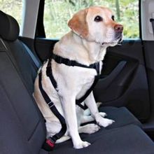 Trixie 1291 50-70 cm Köpek Emniyet Kemeri