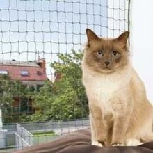 Trixie 4x3 m Yeşil Kedi Cam Koruma Ağı