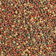 Tropical Pond Pellet 130 gr Mix Koi ve Japon Balıkları İçin Granül Yem