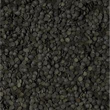 Tropical Super Spirulina Forte 500 gr Balık Yemi