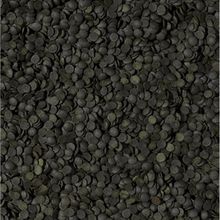 Tropical Super Spirulina Forte Chips 50 gr Balık Yemi