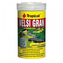 Tropical Welsi Gran 100 gr Balık Yemi