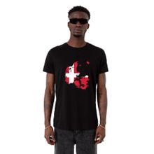 Tshirthane Euro 24 Denmark Siyah Erkek T-shirt