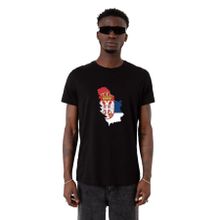 Tshirthane Euro 24 Serbia Siyah Erkek T-shirt