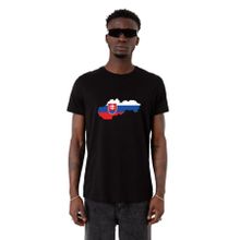 Tshirthane Euro 24 Slovakia Siyah Erkek T-shirt