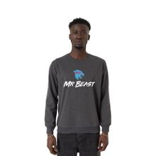 Tshirthane P22824S6067 Füme Erkek Sweatshirt