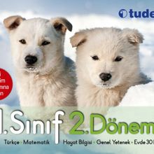 Tudem Yayınları 1. Sınıf 2. Dönem Seti