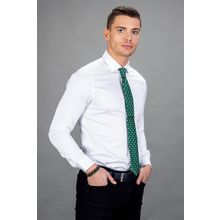 Tudors Slim Fit Dar Kesim Pamuk Saten Erkek Gömlek