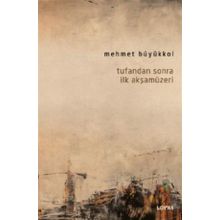 Tufandan Sonra İlk Akşamüzeri - Mehmet Büyükkol