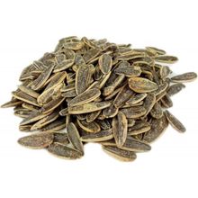 Tuğba Kuruyemiş 500 gr Tuzlu Siyah Ayçekirdeği