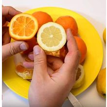 Tüplü Finike Kırmızı Limon Fidanı