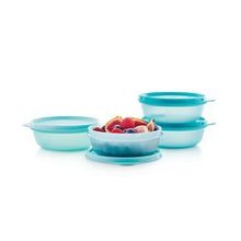 Tupperware 300 ml 4'lü Saklama Kabı