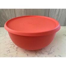 Tupperware Blossom Bowl 4.3 lt Saklama Kabı