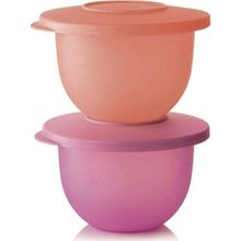 Tupperware Eko 2x500 ml Mor Turuncu Saklama Kabı