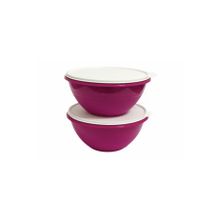 Tupperware Muciye 2x2.4 lt Saklama Kabı