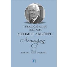 Türk Düşüncesi Yolunda Mehmet Akgün'e Armağan - Milay Köktürk