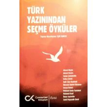 Türk Yazınından Seçme Öyküler - Işık Kansu