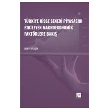 Türkiye Hisse Senedi Piyasasını Etkileyen Makroekonomik Faktörlere Bakış - Merve Perçin