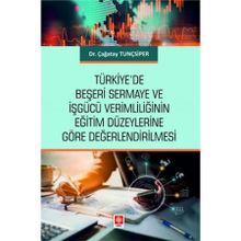 Türkiye`de Beşeri Sermaye ve İşgücü Verimliliğinin Eğitim Düzeylerine Göre Değerlendirilmesi Ekin Yayınevi