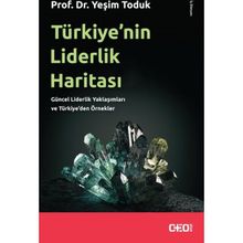 Türkiye’nin Liderlik Haritası - Yeşim Toduk