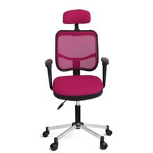 Türksit 817 Pembe File Krom Ayak Çalışma Koltuğu