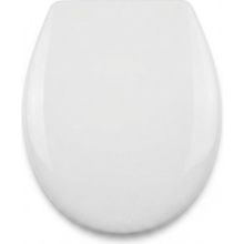 Turkuaz Duroplast Klozet Kapağı