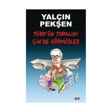 TÜRKÜN TOPALINI ÇİNDE GÖRMÜŞLER - YALÇIN PEKŞEN