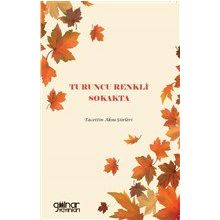 Turuncu Renkli Sokakta - Tacettin Aksu