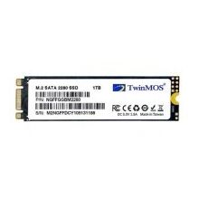 Twinmos 1 Tb M.2 2280 Sata3 580/550 NGFFGGBM2280 Sabit Disk