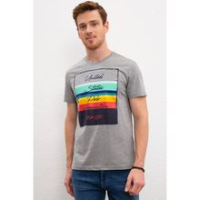 U.S. Polo Assn. 50221084 Gri Erkek T-shirt