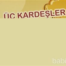 ÜÇ KARDEŞLER - OĞUZ TANSEL