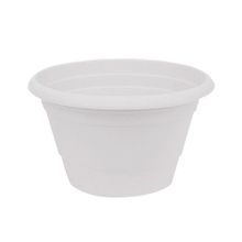 Üçsan Ürgüp 0,5 lt Beyaz Menekşe Saksısı