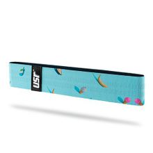 USR Flexberry Hip Band