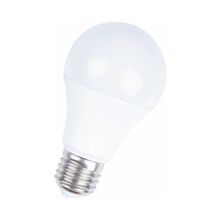 Uzlight 10 W E27 Led Ampul