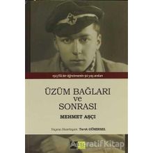 ÜZÜM BAĞLARI VE SONRASI - MEHMET AŞÇI