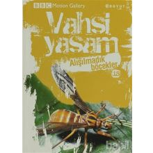VAHŞI YAŞAM 2 ALIŞILMADIK BÖCEKLER - GENEL