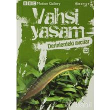 VAHŞI YAŞAM 2 DERINLERDEKI AVCILAR - GENEL