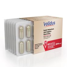 Validus Andız Otu Astragalus Quercetin 60 Kapsül