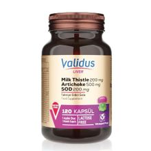 Validus Liver Milk Thistle 120 Kapsül