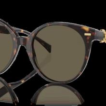 Versace 0VE4442 108/3 55 Kadın Güneş Gözlüğü
