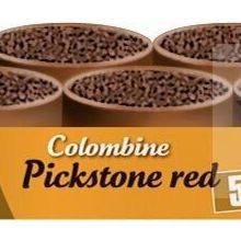 Versele Laga Colombıne Pickstone Red 5+1 6x600 gr Güvercin Mineral Desteği