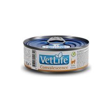 Vet Life 85 gr Convalescence Hasta Kedi Maması