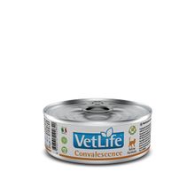 Vet Life Convalescence 85 gr Konserve Kedi Maması