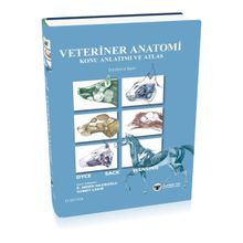 Veteriner Anatomi Konu Anlatımı ve Atlas - Kolektif