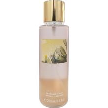 Victoria's Secret Oasis Blooms Fragrance Mist 250 ml Vücut Spreyi