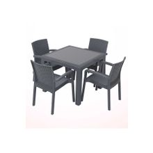 Violet Rattan Camlı Masa Takımı