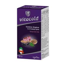 Vitacold Kara Mürver 100 ml Şurup