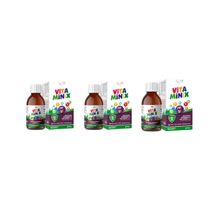 Vitaminix Kara Mürver Multivitamin Multimineral 3x150 ml Şurup